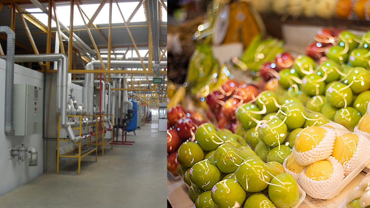 Atmosfera Controlada x Atmosfera Modificada Você sabe a diferença? Cecattoedallavechia